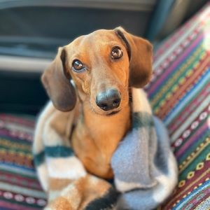 Meet your Posher, Aleishia